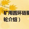 矿用圆环链驱动链轮（关于矿用圆环链驱动链轮介绍）