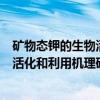矿物态钾的生物活化和利用机理研究（关于矿物态钾的生物活化和利用机理研究介绍）