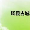 砀县古城址（关于砀县古城址介绍）
