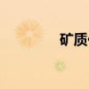 矿质化（关于矿质化介绍）