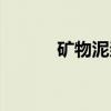 矿物泥浆（关于矿物泥浆介绍）