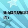 砀山县良梨镇志愿服务队（关于砀山县良梨镇志愿服务队介绍）