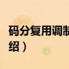 码分复用调制技术（关于码分复用调制技术介绍）