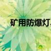 矿用防爆灯具（关于矿用防爆灯具介绍）