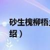 砂生槐柳梧乡2号（关于砂生槐柳梧乡2号介绍）