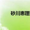 砂川恵理歌（关于砂川恵理歌介绍）
