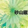 砂山藏澄(关于砂山藏澄介绍) 砂山藏澄(关于砂山藏澄介绍)