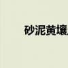 砂泥黄壤土（关于砂泥黄壤土介绍）