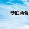 砂底两合土（关于砂底两合土介绍）