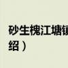 砂生槐江塘镇群体（关于砂生槐江塘镇群体介绍）