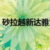 砂拉越新达雅党（关于砂拉越新达雅党介绍）