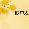 砂户太郎(关于砂户太郎介绍) 砂户太郎(关于砂户太郎介绍)