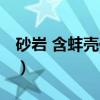 砂岩 含蚌壳化石（关于砂岩 含蚌壳化石介绍）