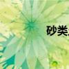 砂类土（关于砂类土介绍）