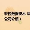砂粒数据技术 深圳有限公司（关于砂粒数据技术 深圳有限公司介绍）