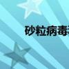 砂粒病毒科（关于砂粒病毒科介绍）