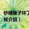 砂糖菓子坏了的时候(关于砂糖菓子坏了的时候介绍) 砂糖菓子坏了的时候(关于砂糖菓子坏了的时候介绍)