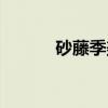 砂藤季美（关于砂藤季美介绍）