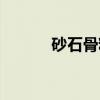 砂石骨料（关于砂石骨料介绍）