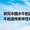 研究中国水牛的遗传多样性并讨论其起源（关于研究中国水牛的遗传多样性并讨论其起源介绍）