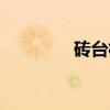 砖台村（关于砖台村介绍）