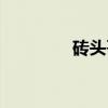 砖头哥（关于砖头哥介绍）