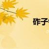 砟子镇（关于砟子镇介绍）