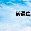 砖混住宅（关于砖混住宅介绍）