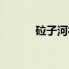砬子河村（关于砬子河村介绍）
