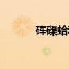 砗磲蛤科（关于砗磲蛤科介绍）