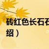 砖红色长石石英岩（关于砖红色长石石英岩介绍）