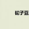砣子豆腐（关于砣子豆腐介绍）