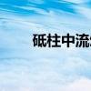 砥柱中流颂（关于砥柱中流颂介绍）