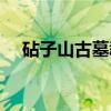 砧子山古墓群（关于砧子山古墓群介绍）