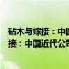 砧木与嫁接：中国近代公司法律制度贯通论（关于砧木与嫁接：中国近代公司法律制度贯通论介绍）