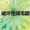 破坏性绒毛膜瘤（关于破坏性绒毛膜瘤介绍）