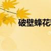 破壁蜂花粉（关于破壁蜂花粉介绍）