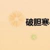破胆寒心（关于破胆寒心介绍）