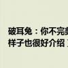 破耳兔：你不完美的样子也很好（关于破耳兔：你不完美的样子也很好介绍）