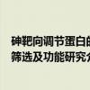 砷靶向调节蛋白的筛选及功能研究（关于砷靶向调节蛋白的筛选及功能研究介绍）