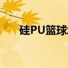 硅PU篮球场(关于硅PU篮球场介绍) 硅PU篮球场(关于硅PU篮球场介绍)