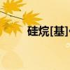 硅烷[基]化（关于硅烷[基]化介绍）