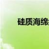 硅质海绵纲（关于硅质海绵纲介绍）