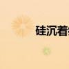 硅沉着病（关于硅沉着病介绍）