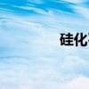 硅化石（关于硅化石介绍）