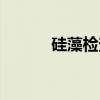 硅藻检查（关于硅藻检查介绍）