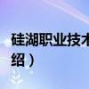 硅湖职业技术学院（关于硅湖职业技术学院介绍）
