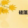 硅藻泥（关于硅藻泥介绍）