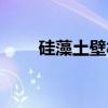 硅藻土壁材（关于硅藻土壁材介绍）