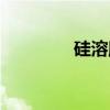 硅溶胶（关于硅溶胶介绍）